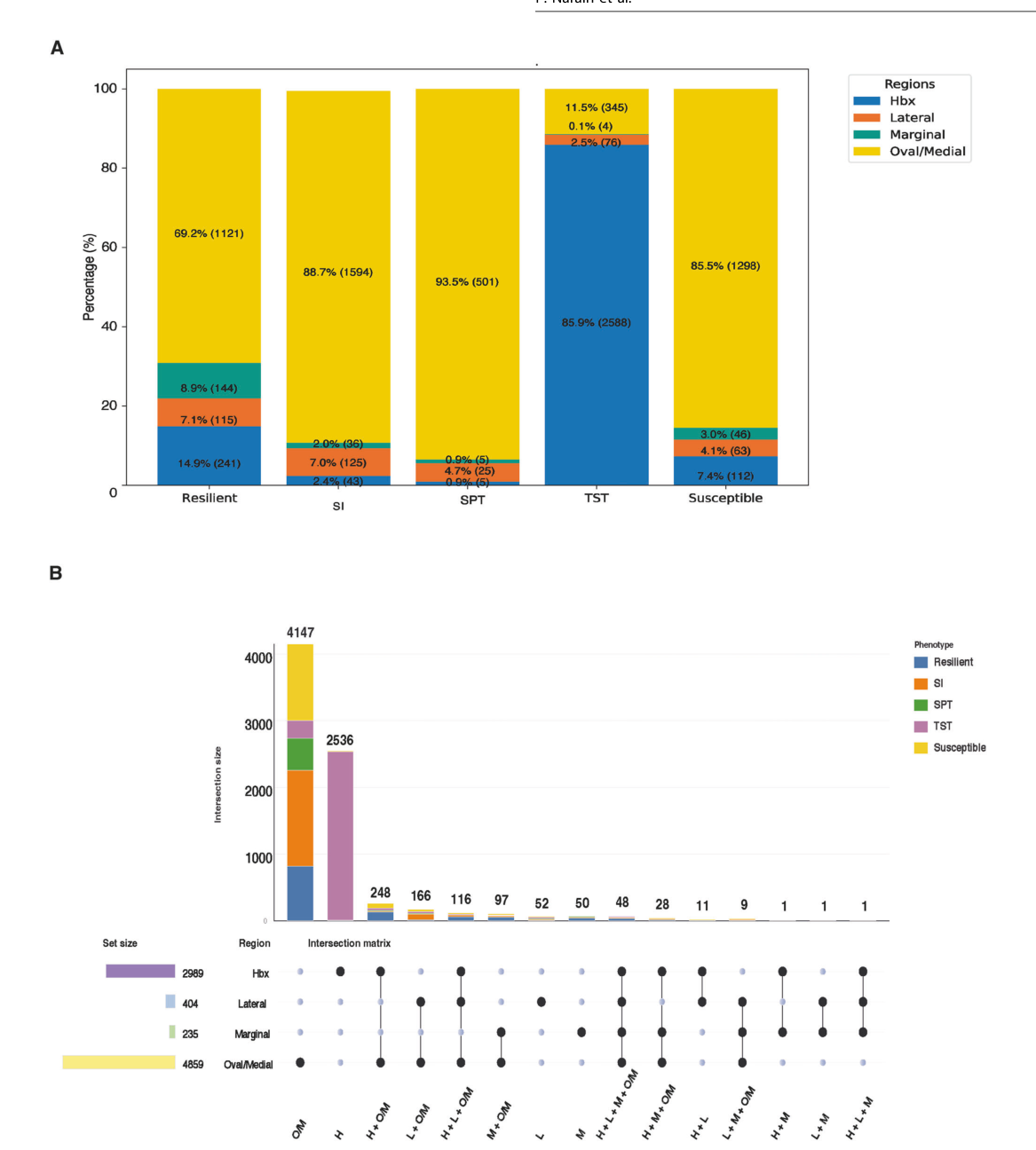 Distinct depressive-like behavioural phe
