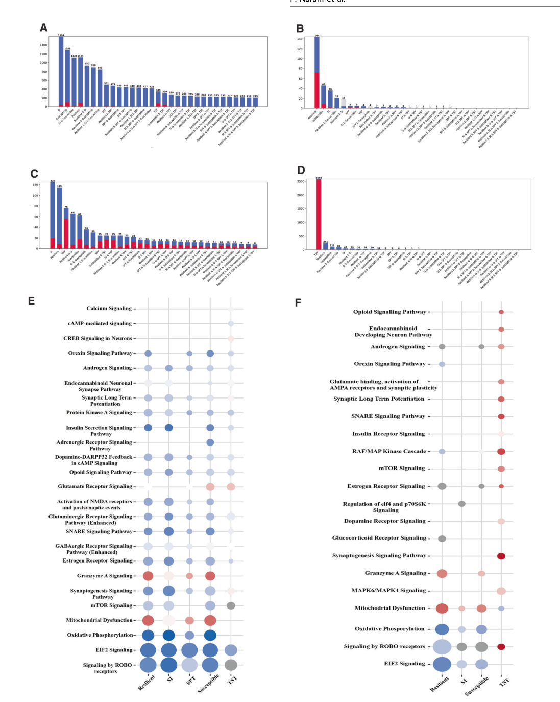 Distinct depressive-like behavioural phe