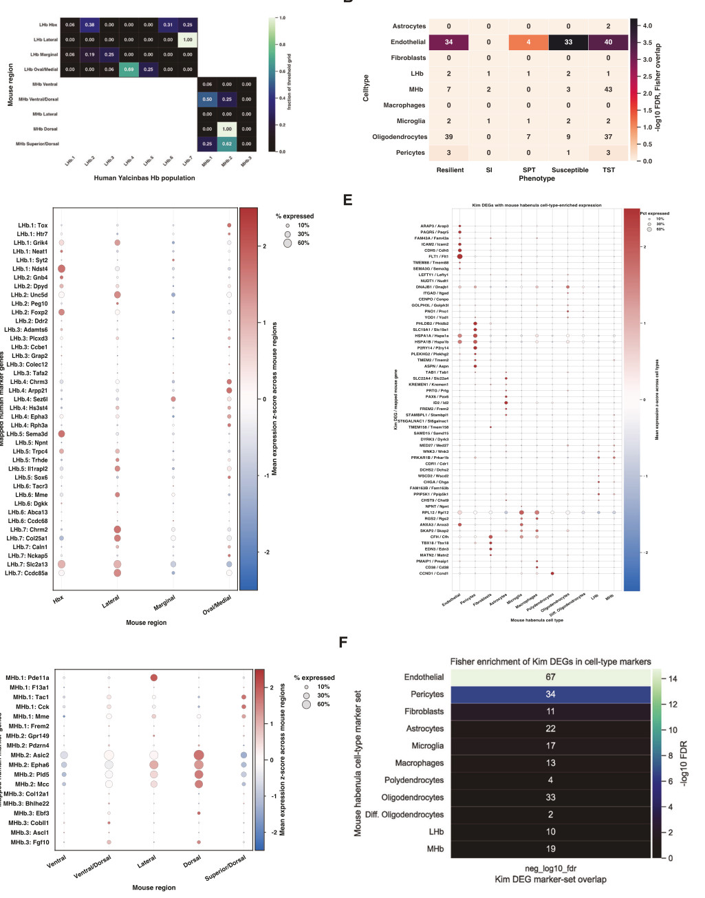 Distinct depressive-like behavioural phe