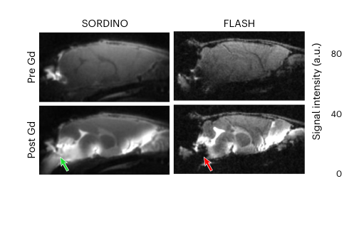 SORDINO: silent, sensitive, specific and