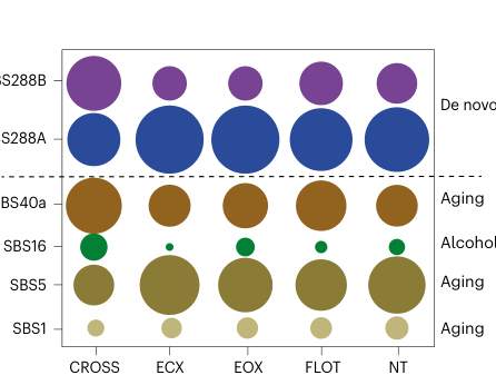 Cancer treatment alters mutant selection