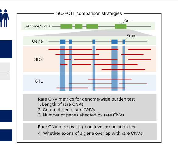 Contribution of copy number variants to 