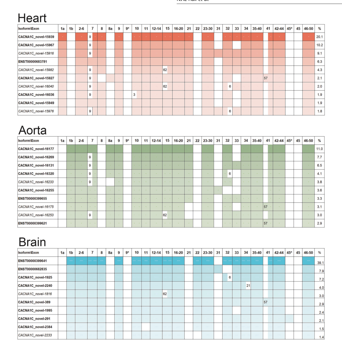 The psychiatric risk gene CACNA1C encode