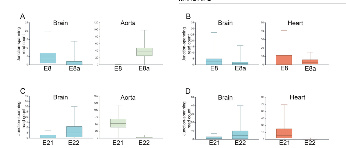 The psychiatric risk gene CACNA1C encode