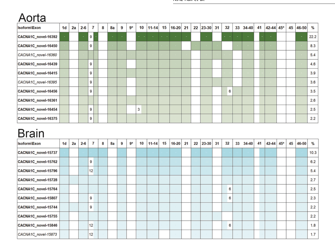 The psychiatric risk gene CACNA1C encode